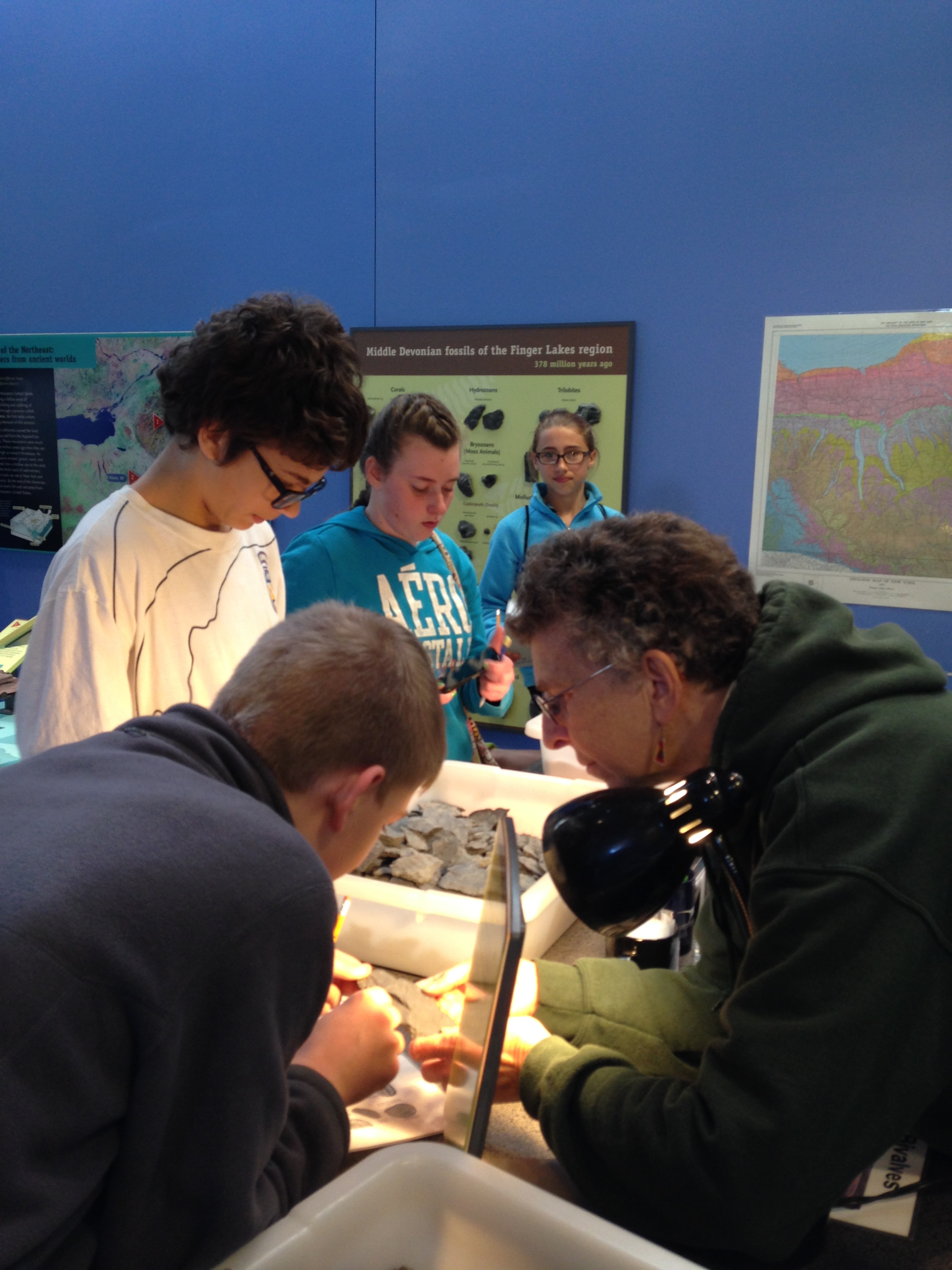 Museum of Earth Fabius Pompey School District